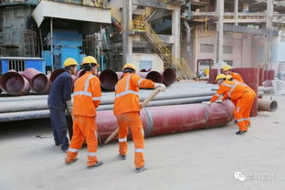 看見生態(tài)力量 國內(nèi)最大單廠水泥窯協(xié)同處置固體廢物項(xiàng)目迎“加速度”